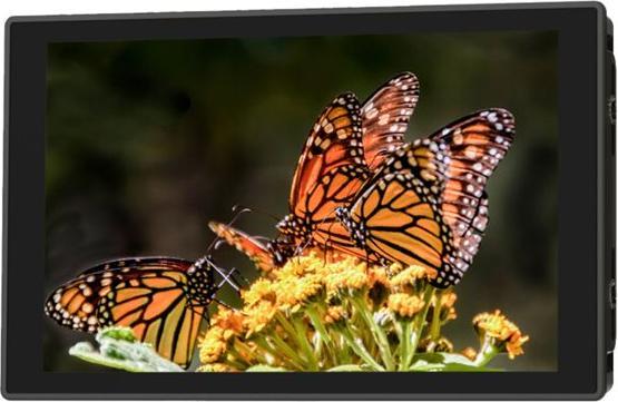 Produktbild Portkeys HD7T Monitor (7", HD)