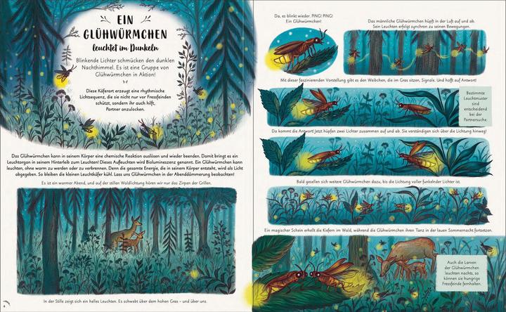 Produktbild Wunder der Natur. Ein Augenblick zum Innehalten und Staunen (Deutsch, Freya Hartas, Laura Brand, 2023)