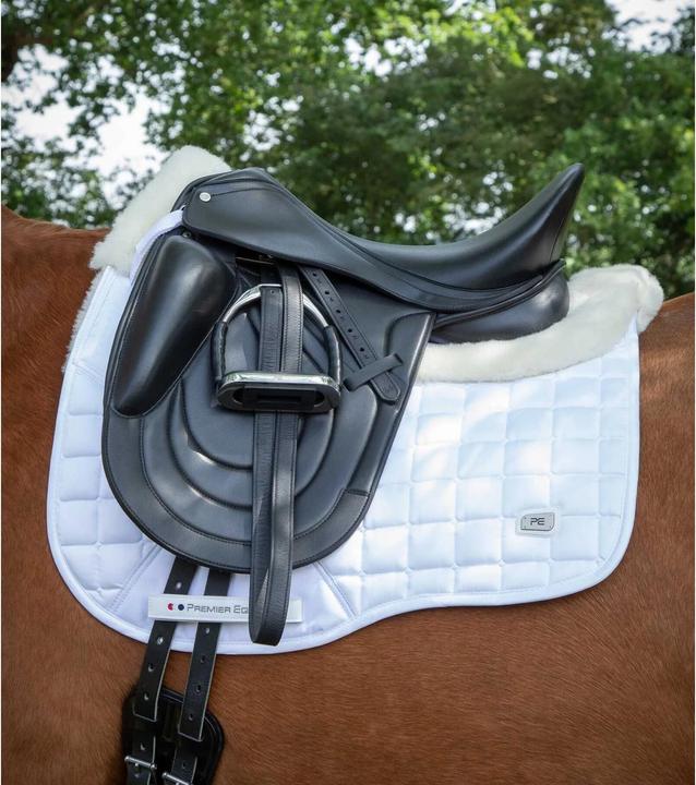 Actual product image Premier Equine Capella CC Square