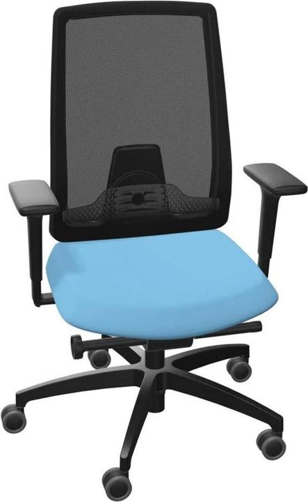 Actual product image Dauphin Office chair Indeed Mesh with mesh back, Black/Blue