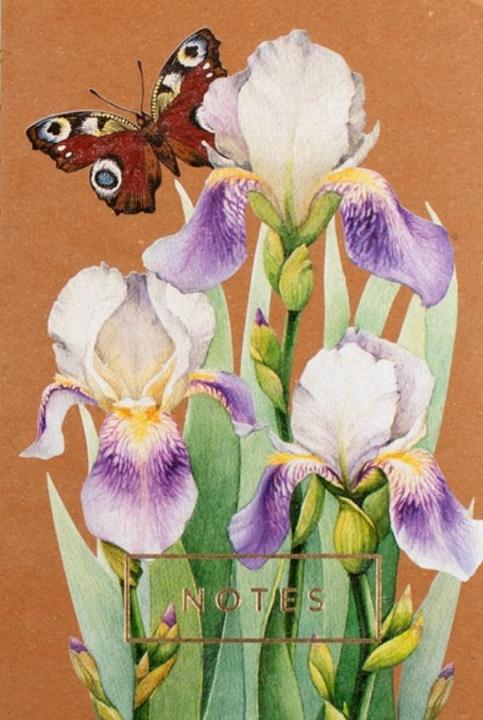 Schubiger Iris notitieboek (Gestippeld, Hardcover)
