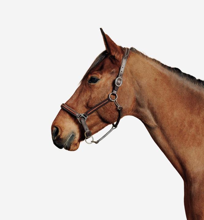 Actual product image Fouganza 900