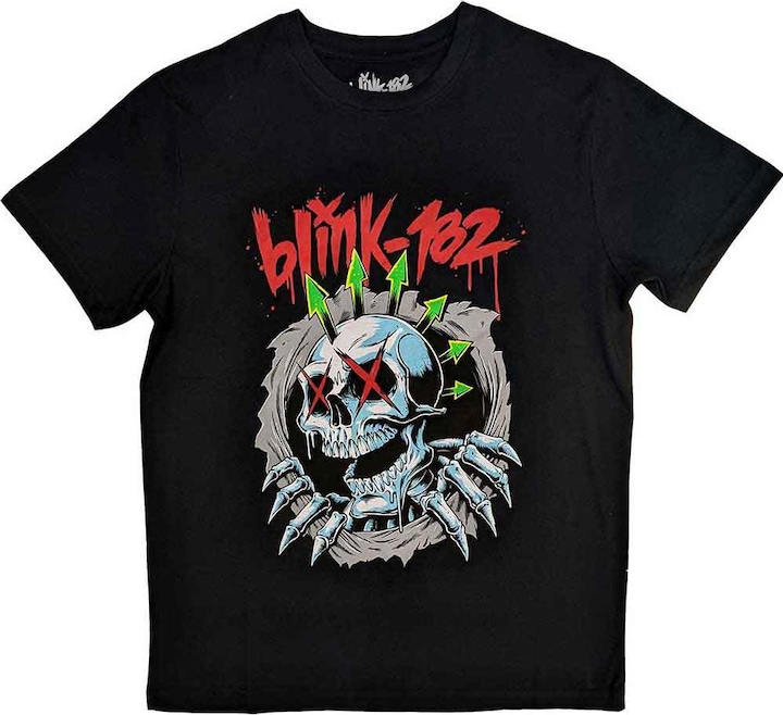 Actual product image Blink 182 Six Arrow Skull (XL)