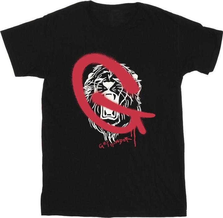 Produktbild Gryffindor Pop Spray TShirt Jungen
