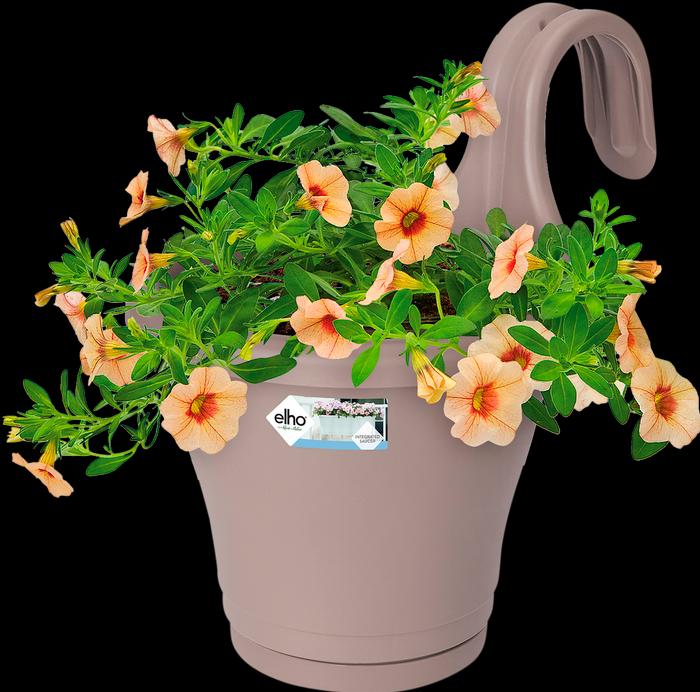 Image du produit Elho Corsica Easy Hanger Single (19.40 cm)