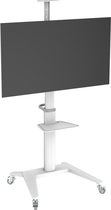 PureMounts TV-Trolley PDS-0003C DS, Weiss (70 kg, 37" - 70")