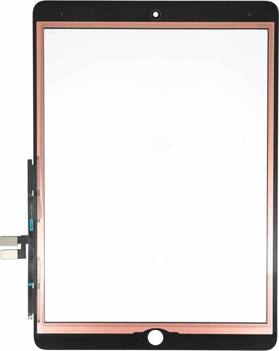 Actual product image OEM Touch Unit (Display, IPad 10.2 (2021))