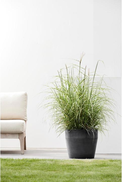 Actual product image Ecopots Sankara