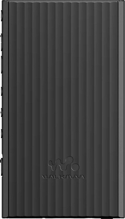 Actual product image Sony NW-A306 (18 GB)