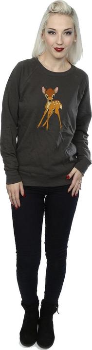 Produktbild Classic Sweatshirt (XL)