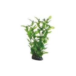 Thumbnail - Dohse Hygrophila, 20 cm (sonstige Gegenstände), Aquarium Dekoration