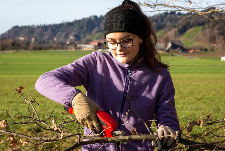 Produktbild Tedura Akku-Gartenschere rot/schwarz