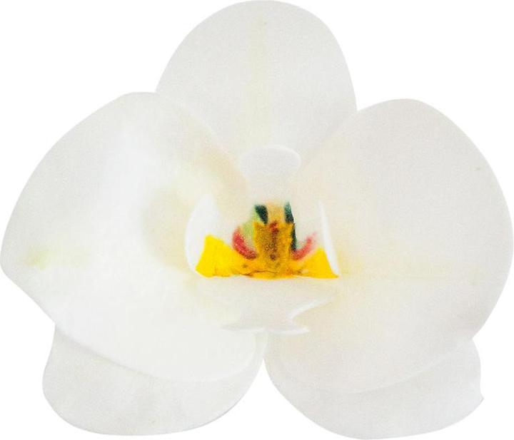 Produktbild Dekora Essbare Deko - Weisse Orchideen 8.5cmx7.5cm (10St.) (10 x)