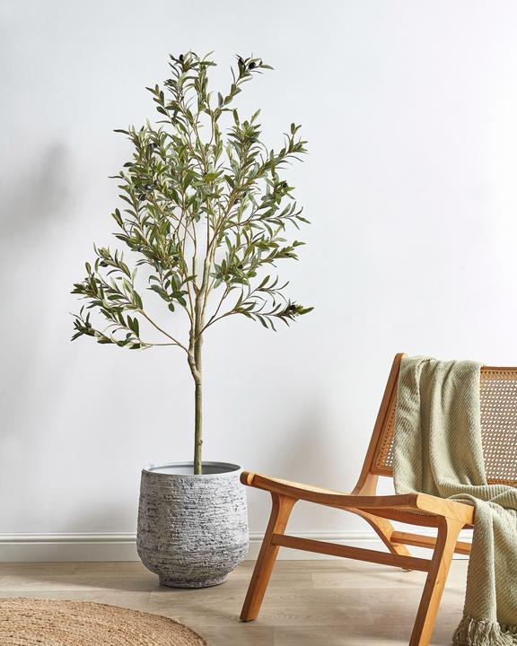 Immagine prodotto Beliani Olive Tree (153 cm)