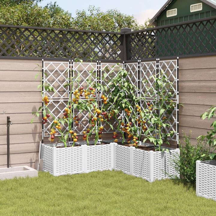 Produktbild vidaXL Gartenpflanzer mit Spalier 5 Stück Weiss 120x120x143 cm