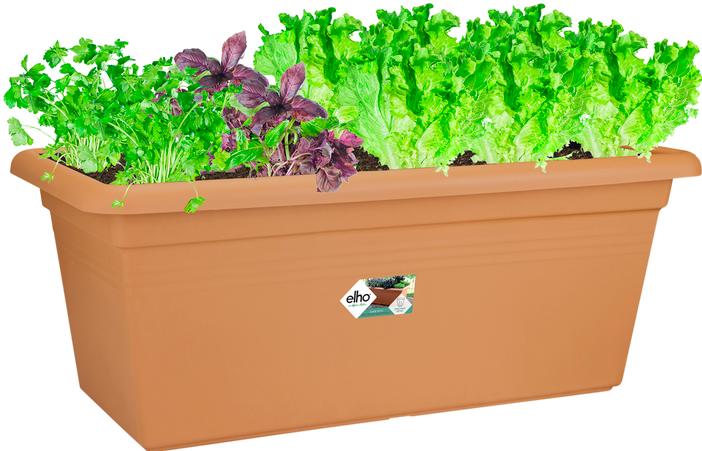 Immagine prodotto Elho Basics Garden XXL (96 x 44.50 x 39.50 cm)