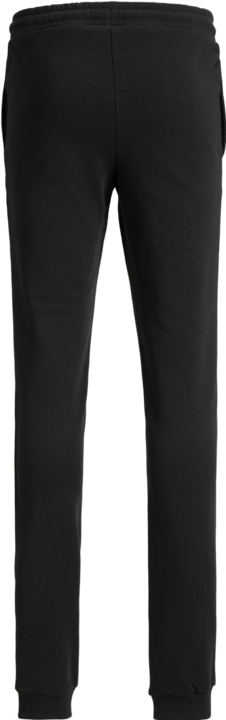 Actual product image Jack & Jones Jpstgordon Jjswift Sweat Pants Noos Jnr (128)
