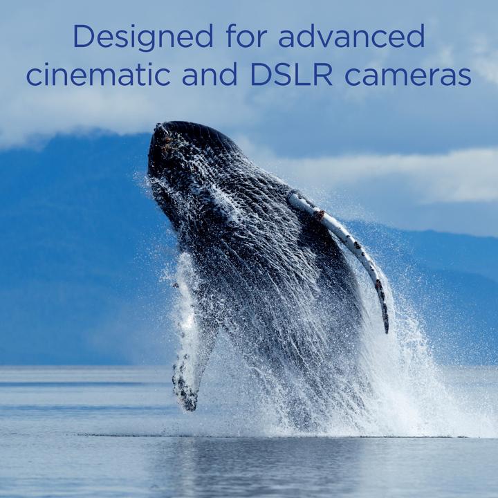 Actual product image 2TB UltimaPro X2 CFexpress Cinematic Silver Type B 2.0 Card (2048 GB, CFexpress type B)