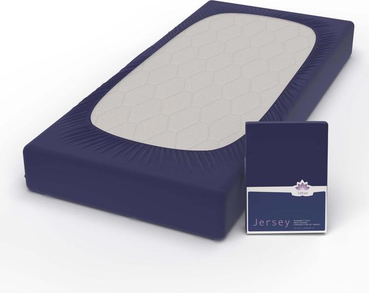 Image du produit Lotus Bettwaren Jersey Fix Comfort (100 x 200 cm, 90 x 200 cm)