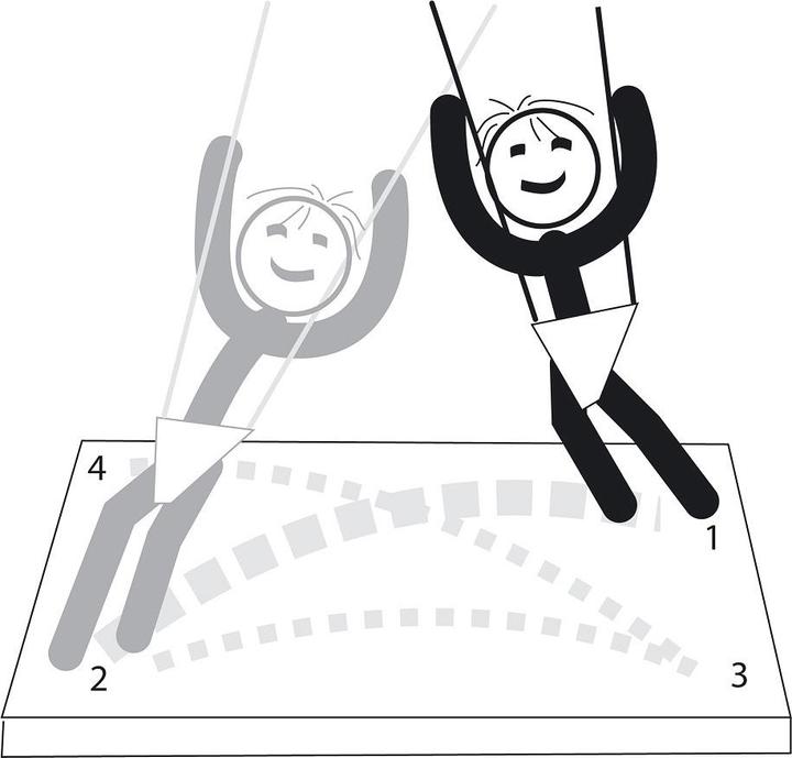 Actual product image Sport-Thieme Bungee swing XTENSi