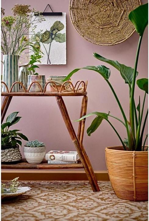 Produktbild Creative Collection Begonia (1.30 l)