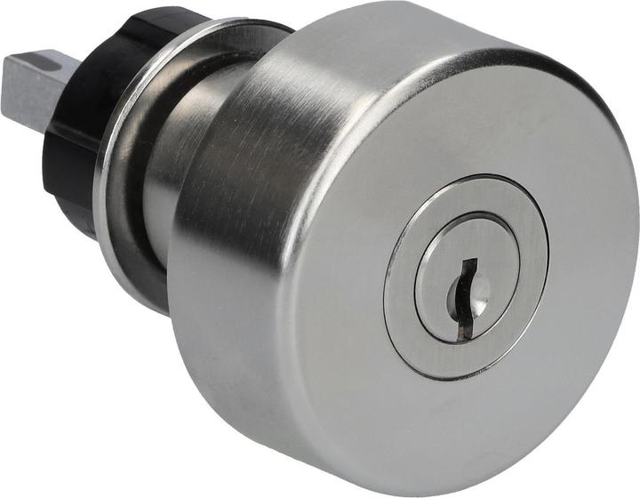 Actual product image Heusser 3411 / 3412 rotary knobs (Door handle)