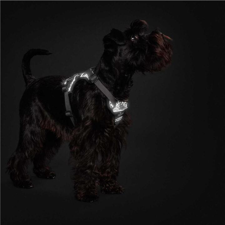 Produktbild Hunter Geschirr Divo Reflect nylonpolyester (S, Hund, Allgemein)