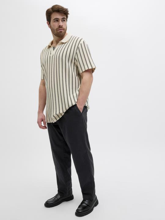 Produktbild Jack & Jones Plus Size Relaxed Fit Relaxed Fit Hosen Relaxed Fit Hosen (44)