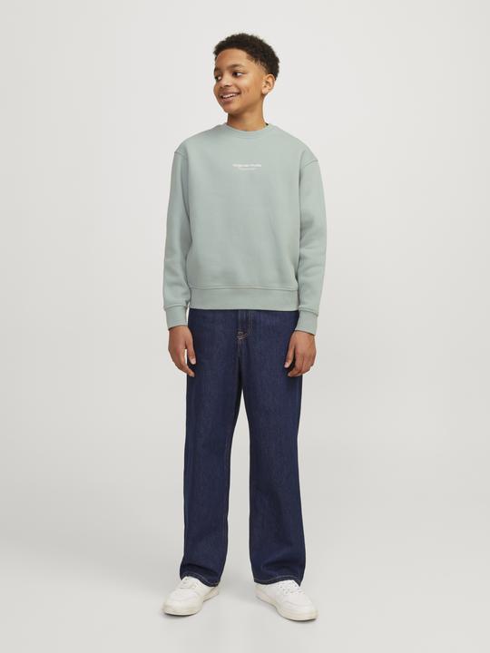 Produktbild Jack & Jones Jorvesterbro Sweat Crew Neck Bn Mni (110)