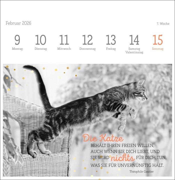 Produktbild Katzen Weisheiten Premium-Postkartenkalender 2026 (16,5 x 17,7 cm)