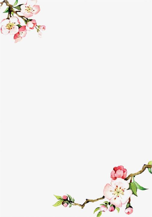 Produktbild Cedon Briefpapier Set Kirschblüte.2037471 (100 Stk.)