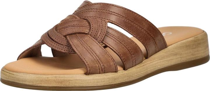 Arachide (S.Holz) 54