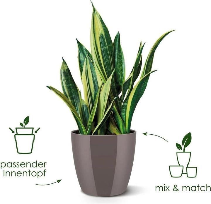 Produktbild Elho Brussels Diamond (14 x 13 cm)