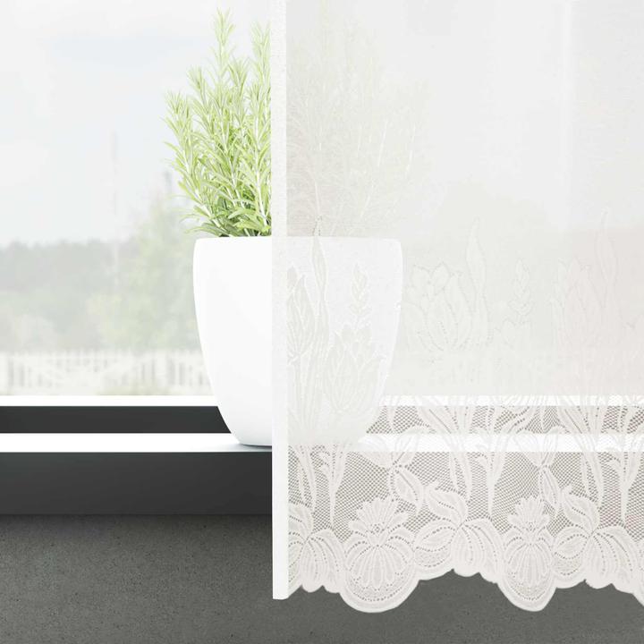 Produktbild vidaXL Spitzenvorhang (500 x 200 cm)