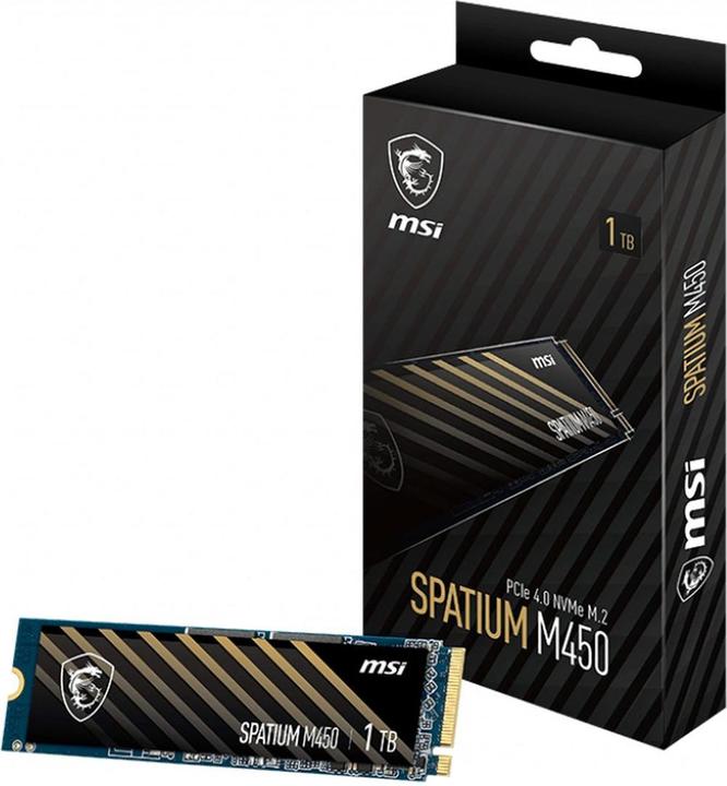 Actual product image MSI Spatium M450 (1000 GB, M.2 2280)