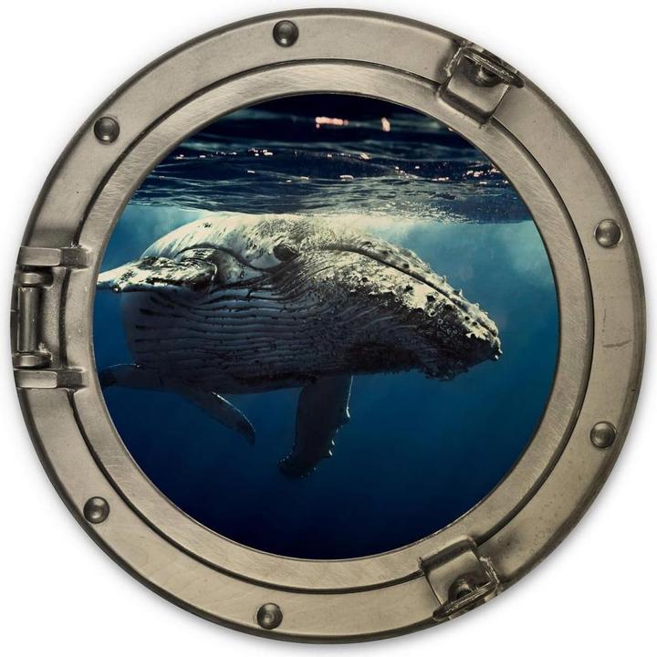 Immagine prodotto Trenddeko Oblò in 3D - Megattera in immersione (Ø 20 cm)