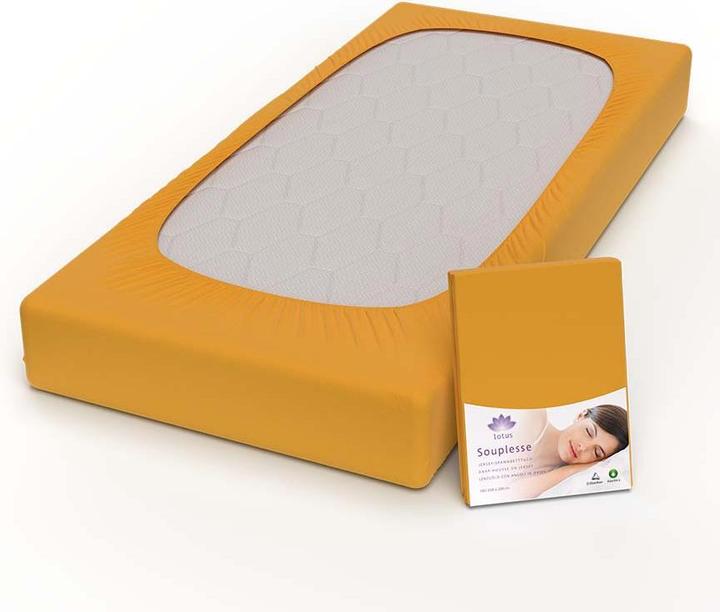 Immagine prodotto Lotus Bettwaren Lenzuolo matrimoniale in jersey Souplesse (140 x 200 cm, 160 x 200 cm)