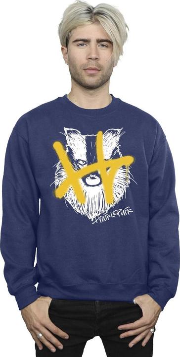 Produktbild Hufflepuff Pop Spray Sweatshirt (L)