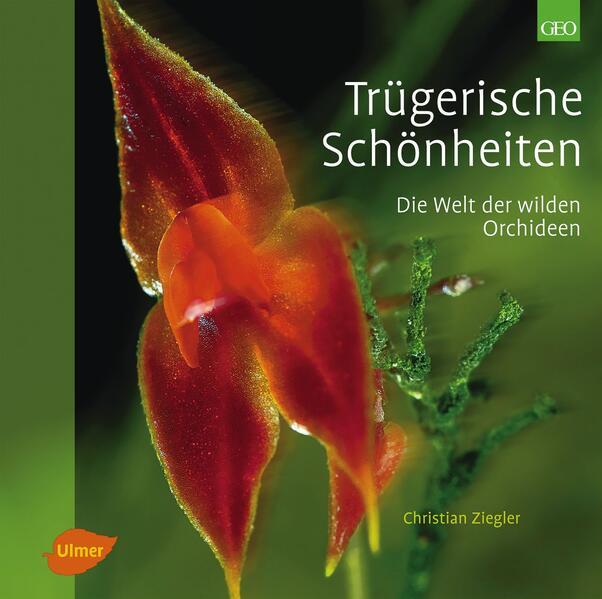 Produktbild Trügerische Schönheiten (Deutsch, Christian Ziegler, 2012)