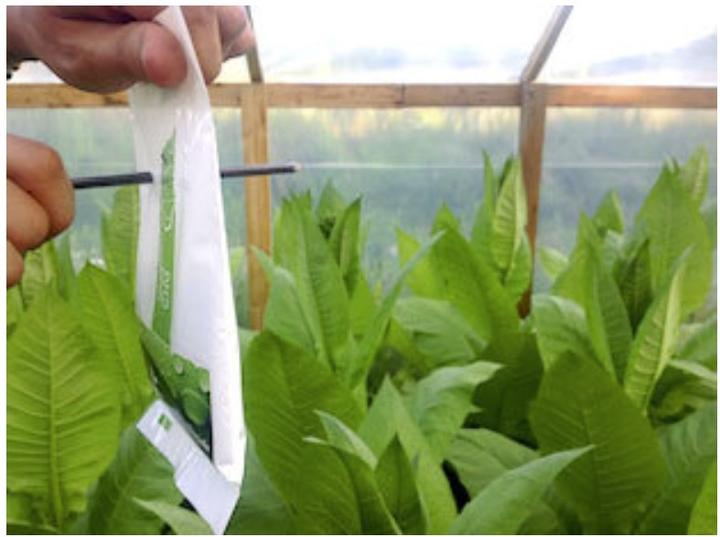 Actual product image CO2 Bag The Bag Grower