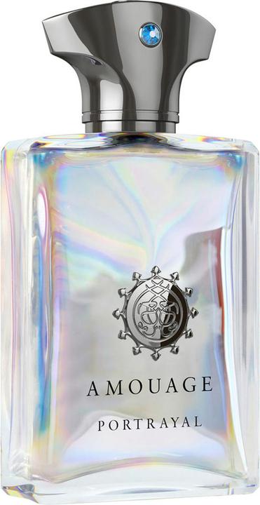 Image du produit Amouage Portrayal Man - EDP - Volume : 100 ml (Eau de parfum, 100 ml)
