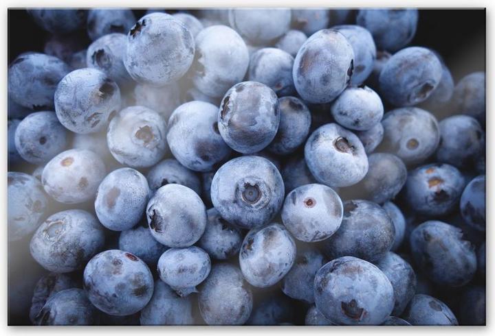 Produktbild Trenddeko Blaubeeren (60 x 40 cm)