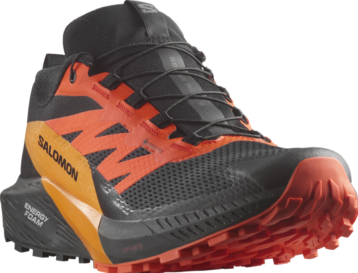 Produktbild Salomon Sense Ride 5 GTX Herren Trailrunningschuhe (44)