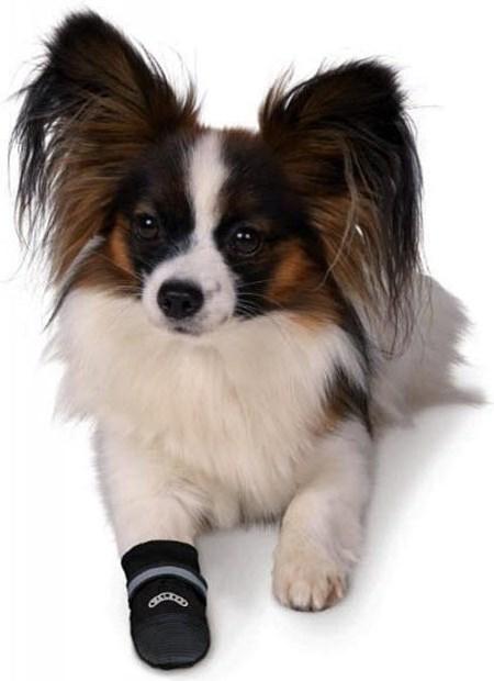 Image du produit Trixie Protection des pattes (XS, Chaussures pour chien)