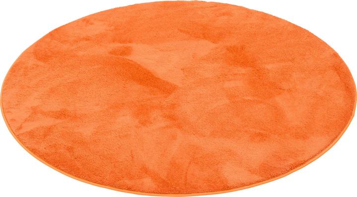 Actual product image Pergamon Luxus Super Soft Hochflor Langflor Teppich Melia Rund (120 x 120 cm)