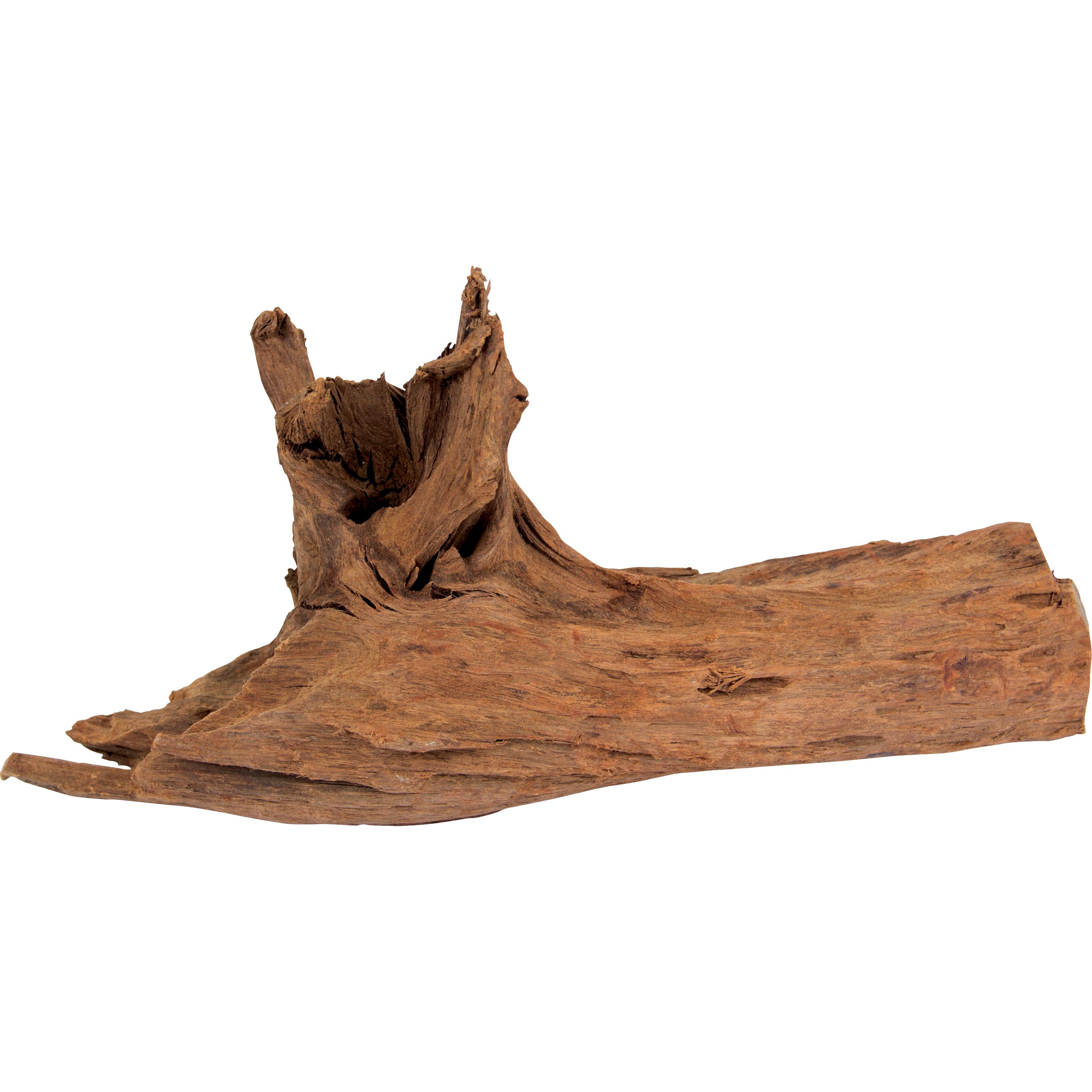 Meilleurs prix pour Aquarium Systems Mangrove traerødder L - 35-45 cm, 12 pcs. (Décoration, autres éléments), Décoration d'aquarium