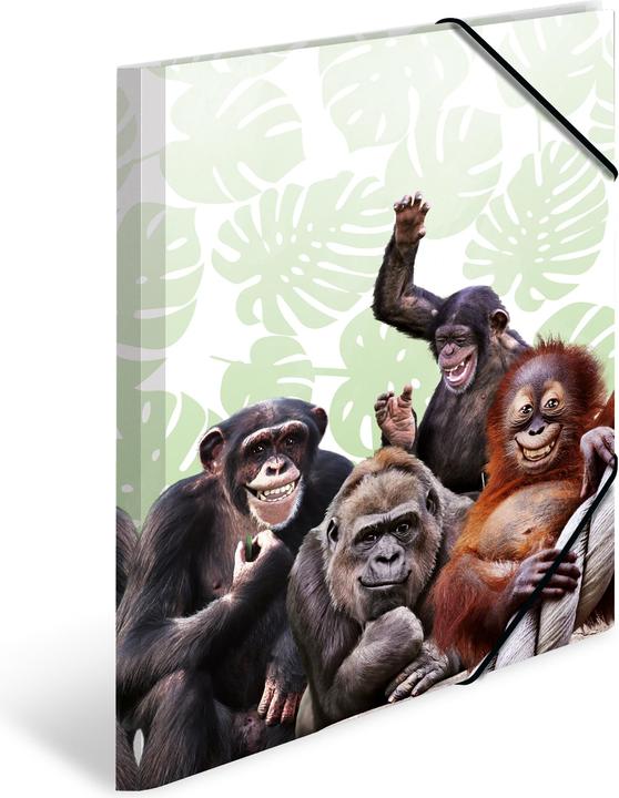 Image du produit HERMA Porte-documents A3 Motif (A3, 1x)