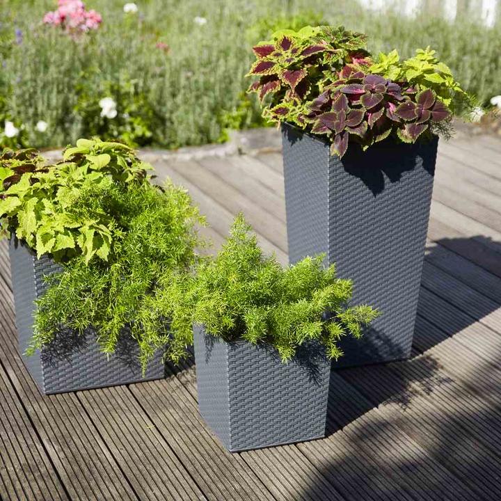 Image du produit Siena Garden Modern (30 cm)