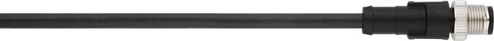 Actual product image Lapp AB-C4-M12MS-5.0PUR