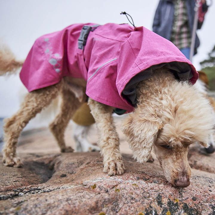 Immagine prodotto Hurtta Monsoon V2 Eco verde mackintosh, 30 cm (30, Cappotto impermeabile per cani)